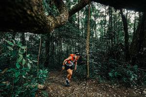 BIB: 
                            <button type="button" onclick="openModal(25389834)" class="btn btn-primary btn-sm float-right btn-popup" data-toggle="modal" data-target=".modal-high-quality">
                        <i class="fas fa-shopping-cart"></i> Add to Cart
                    </button>
                                            <button type="button" onclick="isThisMe(25389834, true)" class="btn btn-success btn-sm float-right btn-popup btn-isme hidden" data-toggle="tooltip" data-placement="bottom" title="นี่คือรูปของคุณใช่ไหม คลิกที่นี่เพื่อเอาเข้าอัลบั้ม">
                        <i class="fas fa-plus"></i> Add to album
                    </button>
                    <button type="button" onclick="isThisMe(25389834, false)" class="btn btn-warning btn-sm float-right btn-popup btn-isnotme hidden">
                        <i class="fas fa-ban"></i> Remove from album
                    </button>